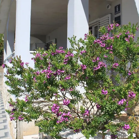 Apartments By The Sea Trogir - 8683 Trogir
